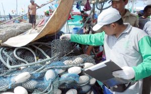 Petugas DKP Jatim sedang melakukan pemeriksaan alat penangkap ikan.