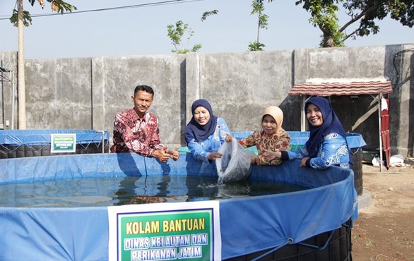 Penebaran benih oleh Kepala Bidang Perikanan Budidaya, Ir. Riyama Budiwati, MM