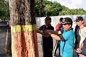 Aksi Bupati Lumajang saat mencabut paku di pohon