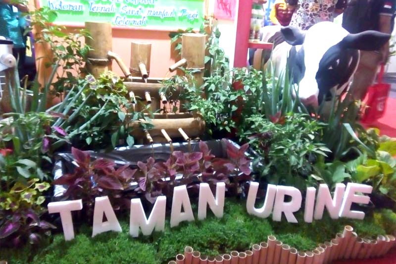 Taman Urine